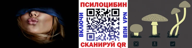 kraken ONION  Торжок  Галлюциногенные грибы Psilocybe  наркота 